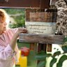 ‘Wake-up call’: A sting in the bee love story for native pollinators