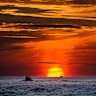 ‘Fast running out of time to turn the tide’: Australia at sea in vast marine heatwave